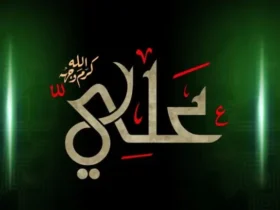ali bin abi thalib